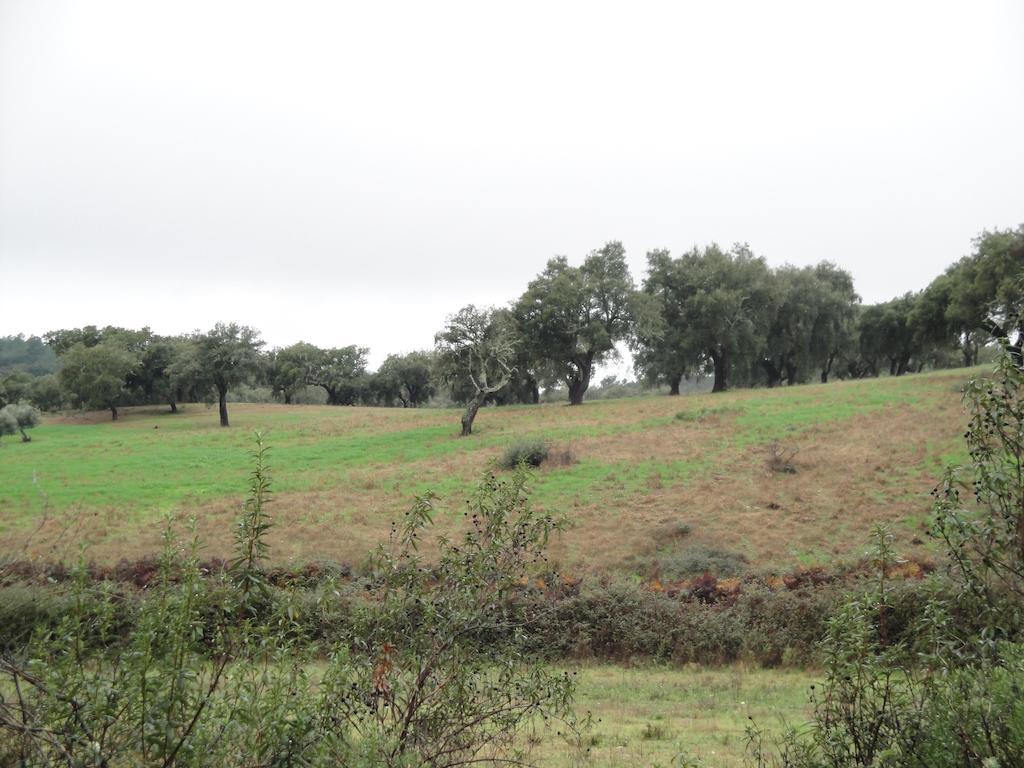 Casa Rural Sierra San Mamede La Codosera ภายนอก รูปภาพ