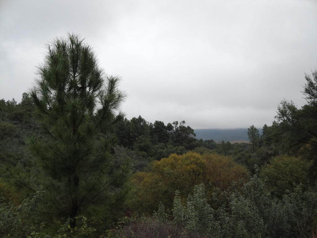 Casa Rural Sierra San Mamede La Codosera ภายนอก รูปภาพ