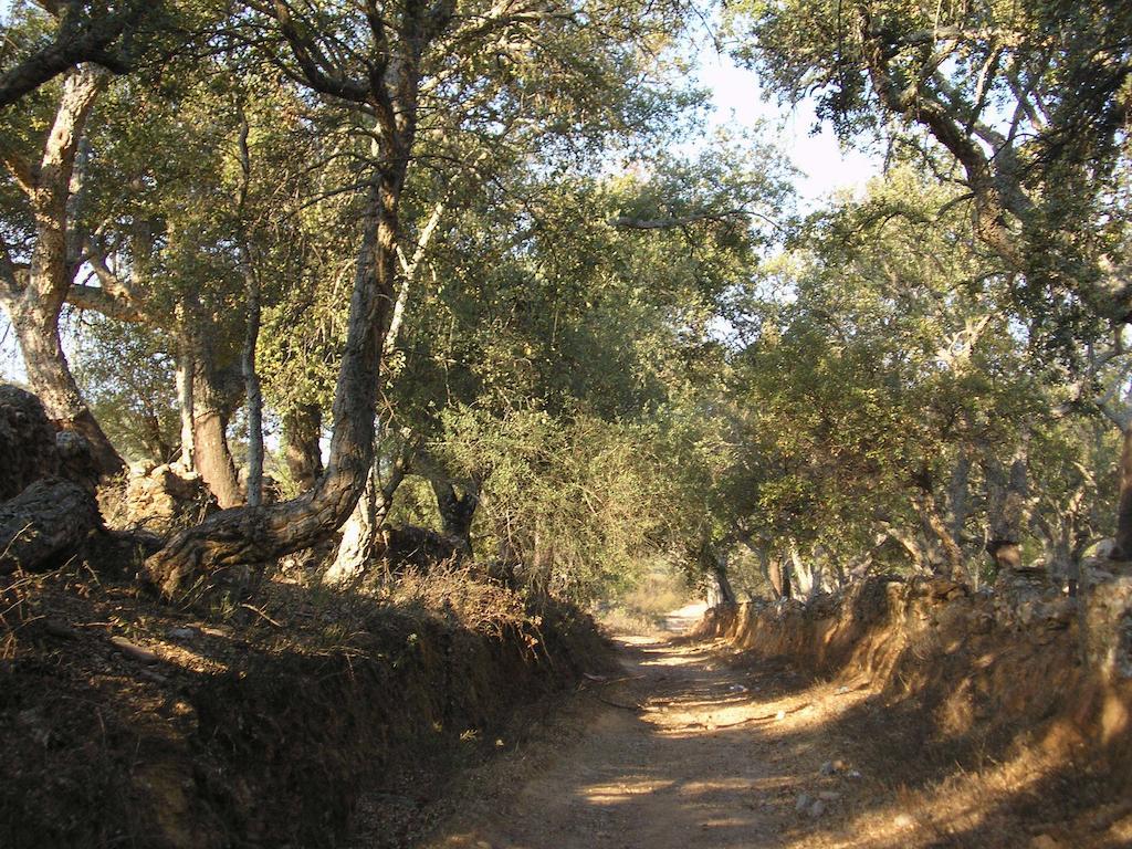 Casa Rural Sierra San Mamede La Codosera ภายนอก รูปภาพ