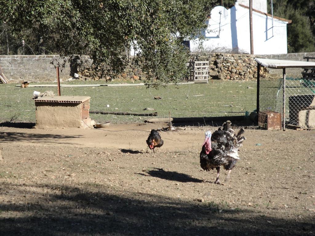 Casa Rural Sierra San Mamede La Codosera ภายนอก รูปภาพ