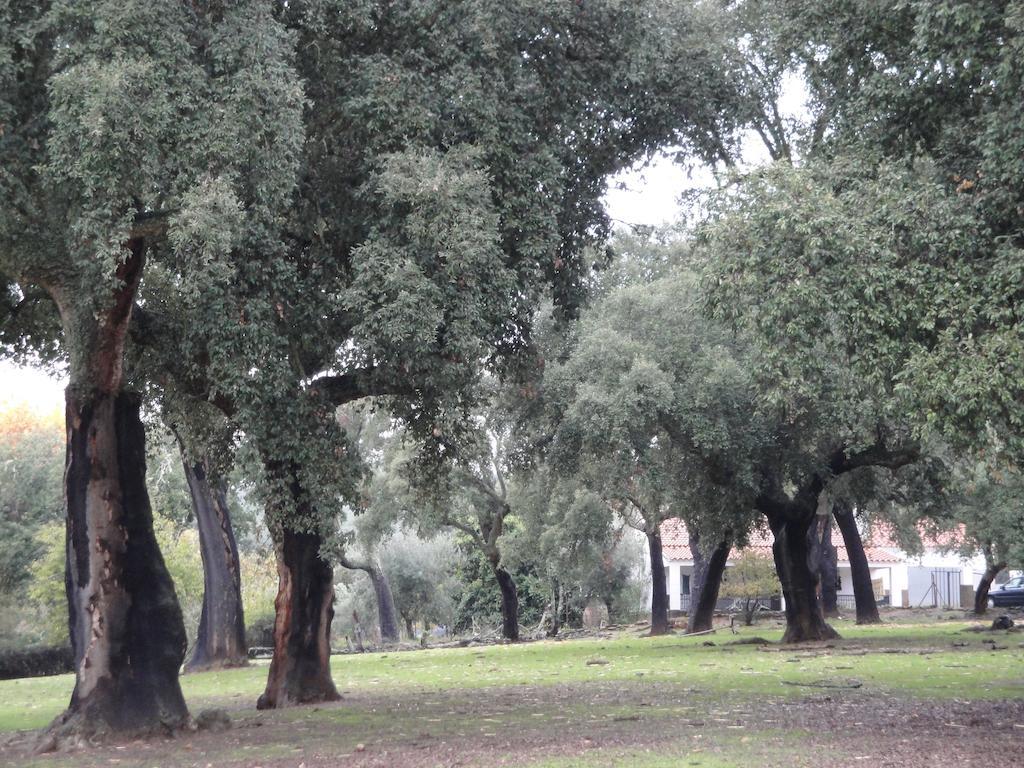Casa Rural Sierra San Mamede La Codosera ภายนอก รูปภาพ